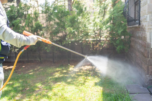 Reliable Lisbon, ME Pest Control Solutions